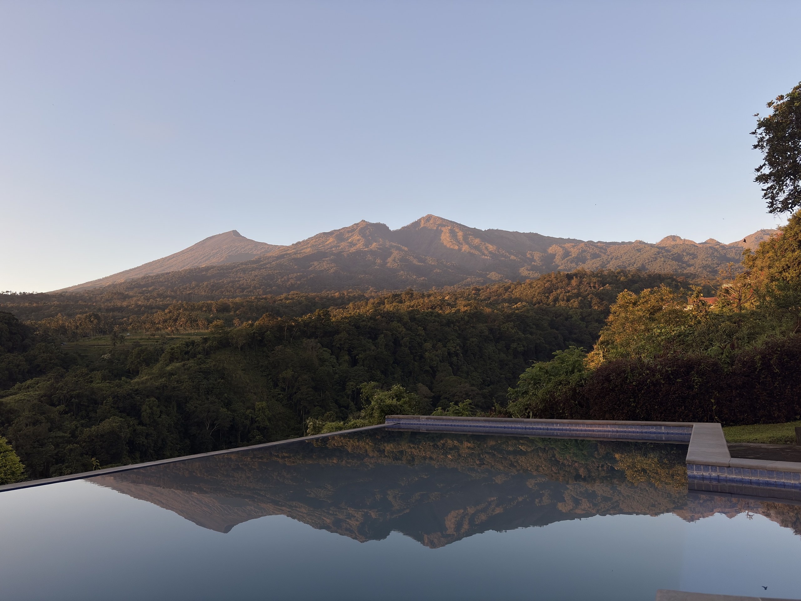 Infinity-Pool am Morgen, dahinter der Rinjani über dem Wald