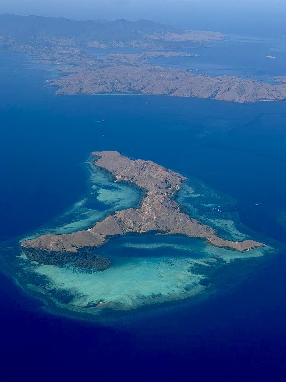 Luftaufnahme einer Insel mit türkisem Riff im tiefblauen Meer